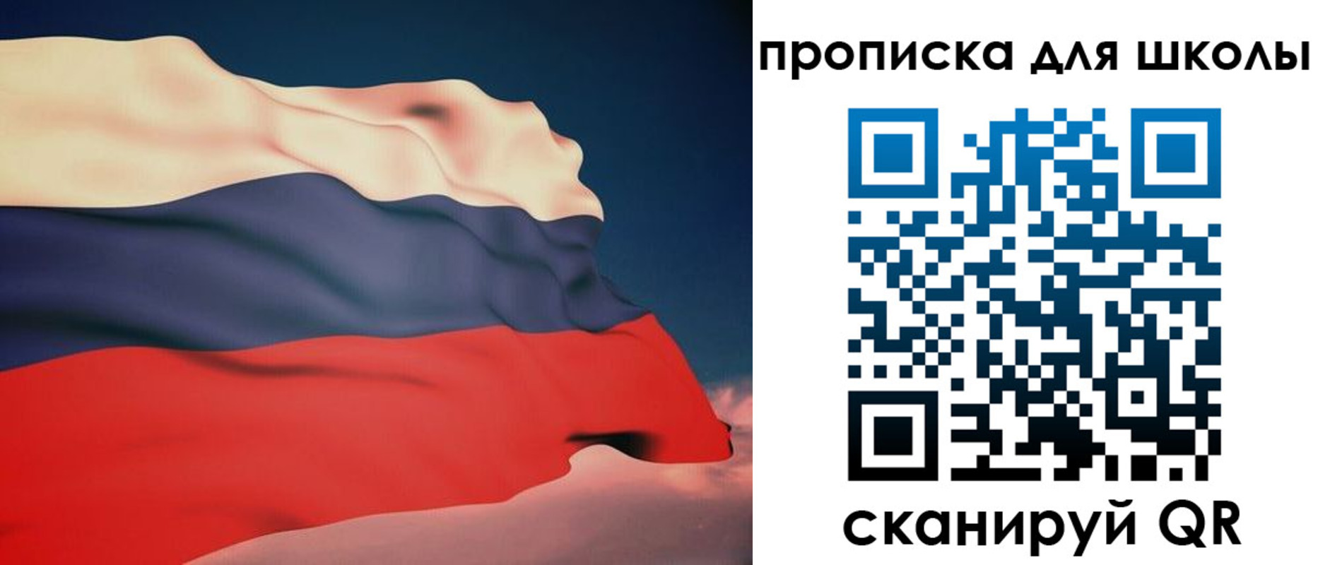 временная регистрация поиск в Королёве